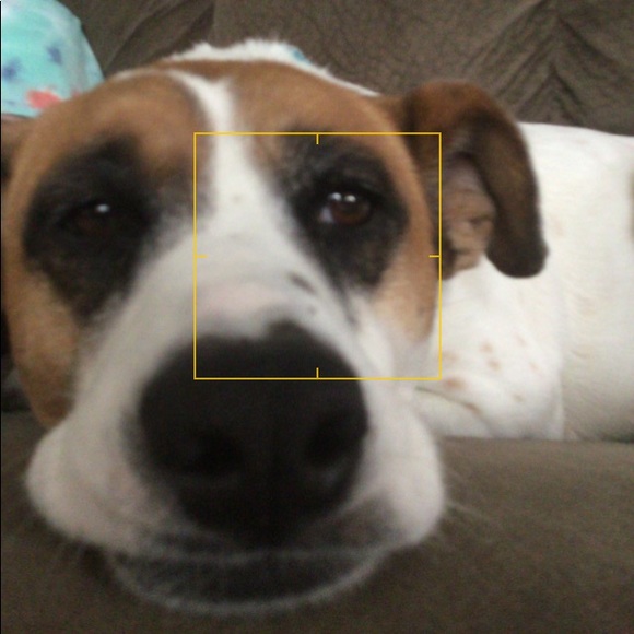 Meet your Posher, Veronica - Picture 1 of 1